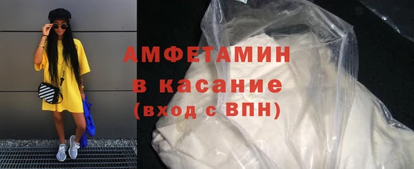 индика Богданович