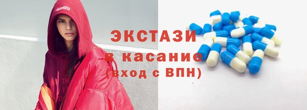 индика Богданович